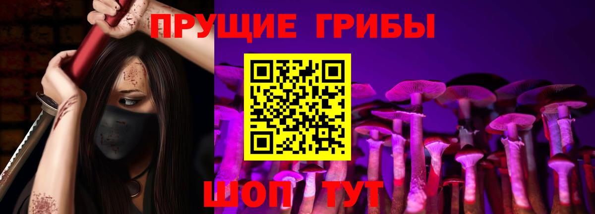 Казань  Галлюциногенные грибы Psilocybine cubensis  Вход с VPN 